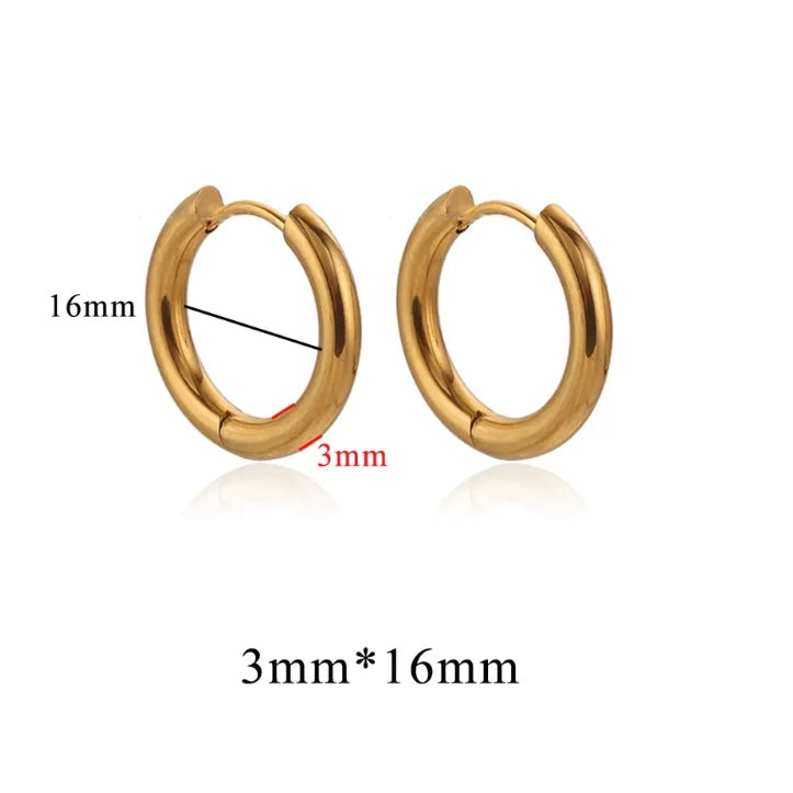 Stainless Steel 3mm Thick Hoops Sleepers