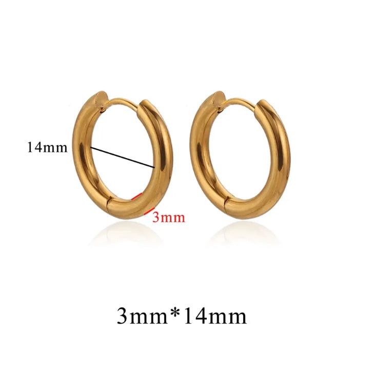 Stainless Steel 3mm Thick Hoops Sleepers