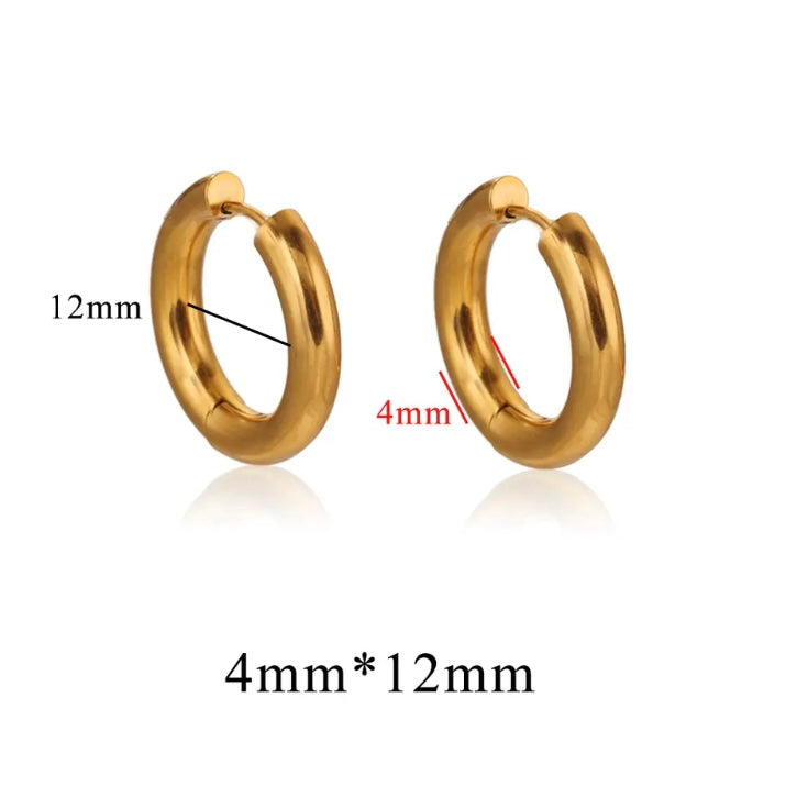 Stainless Steel 4mm Thick Hoops Sleepers