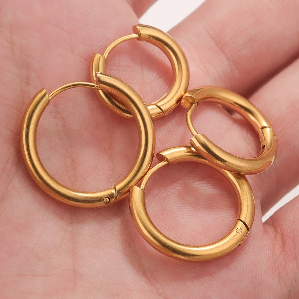 Stainless Steel 3mm Thick Hoops Sleepers