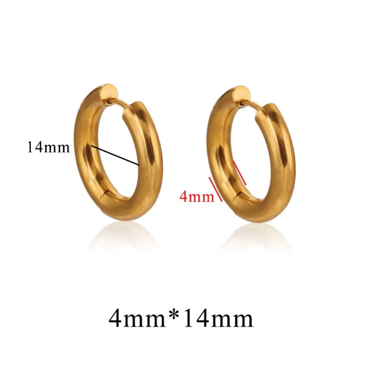 Stainless Steel 4mm Thick Hoops Sleepers