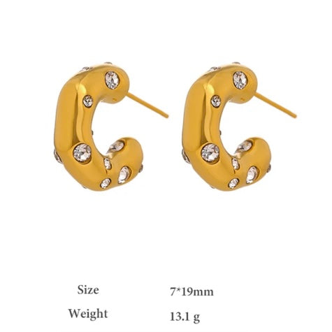 Jennifer Crystal Studded Earring