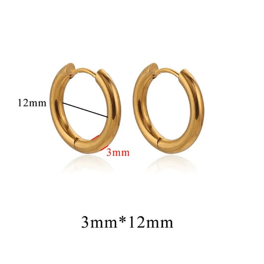 Stainless Steel 3mm Thick Hoops Sleepers