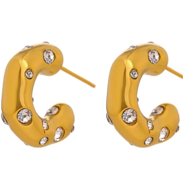 Jennifer Crystal Studded Earring