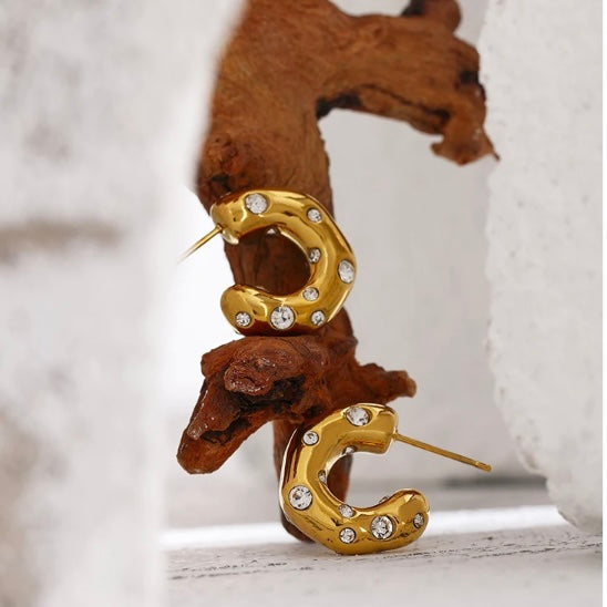 Jennifer Crystal Studded Earring